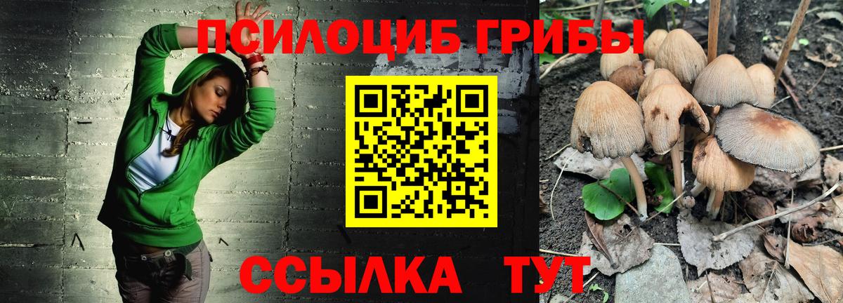 Галлюциногенные грибы Cubensis  Вход с VPN  Саяногорск  Псилоцибиновые грибы Magic Shrooms 