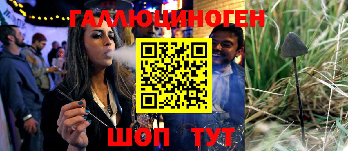 Галлюциногенные грибы Psilocybe Саяногорск
